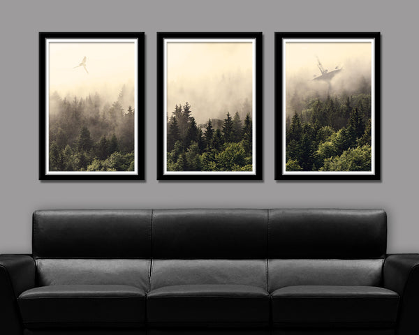 Endor Morning Mist - Parody Art#4 - Home Decor
