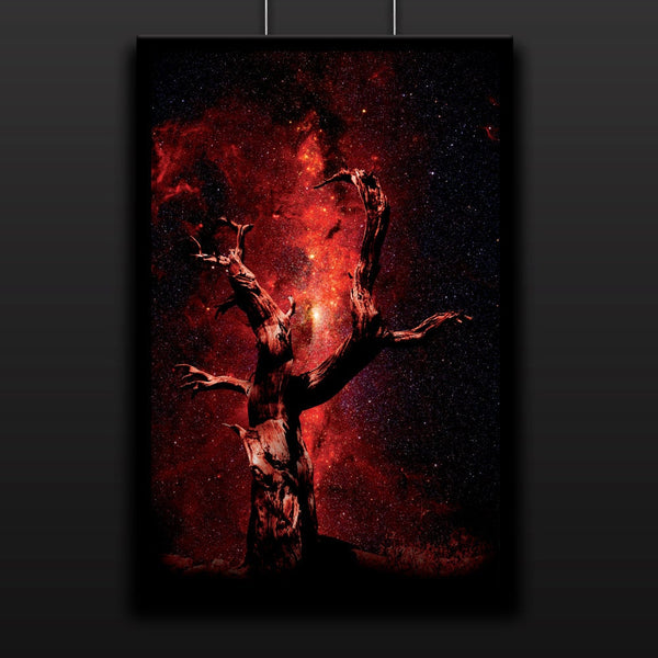 By Star Light - Fine Art Photography Collection - 13x19 16x24 or 24x36 Inches - Home Decor