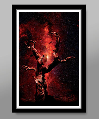 By Star Light - Fine Art Photography Collection - 13x19 16x24 or 24x36 Inches - Home Decor