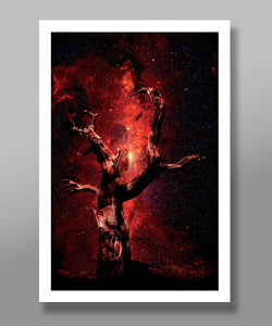 By Star Light - Fine Art Photography Collection - 13x19 16x24 or 24x36 Inches - Home Decor