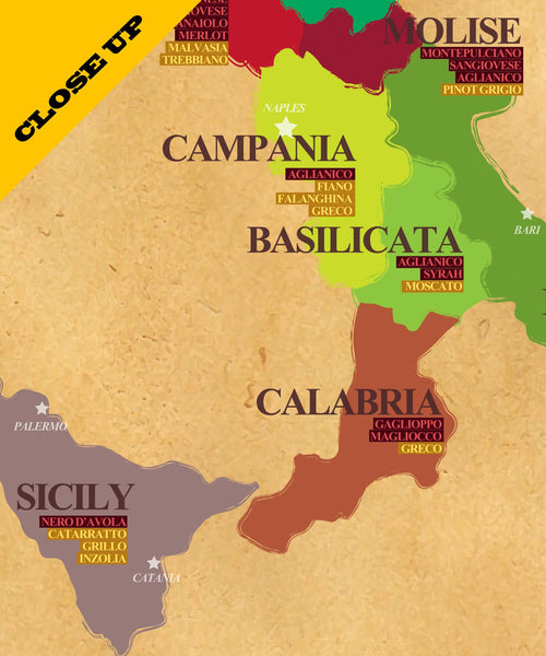 Classic Italian Wine Regions & Grape Types Poster - Wine Poster - Home Decor