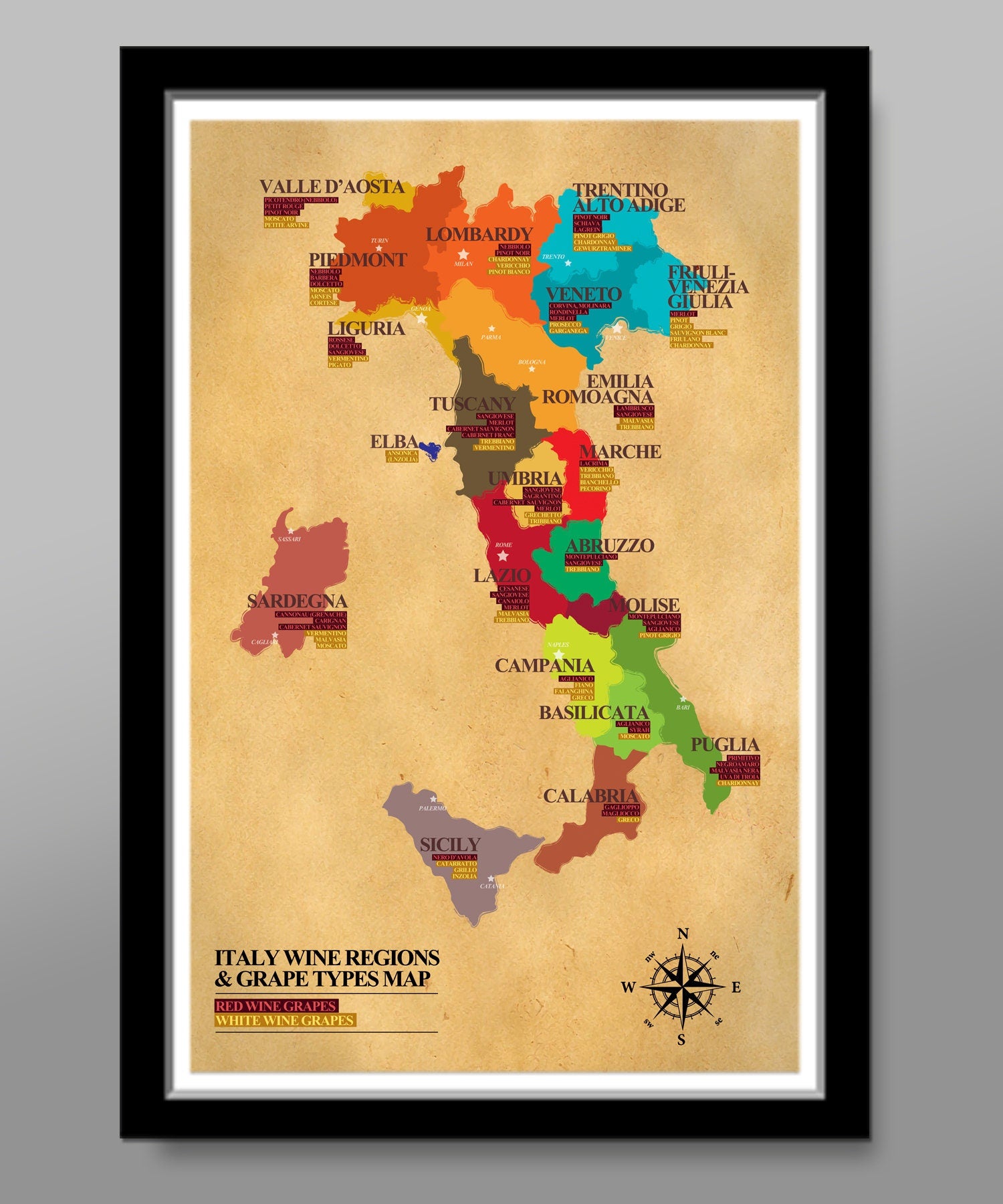 Classic Italian Wine Regions & Grape Types Poster - Wine Poster - Home Decor