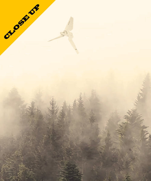 Endor Morning Mist - Parody Art#4 - Home Decor